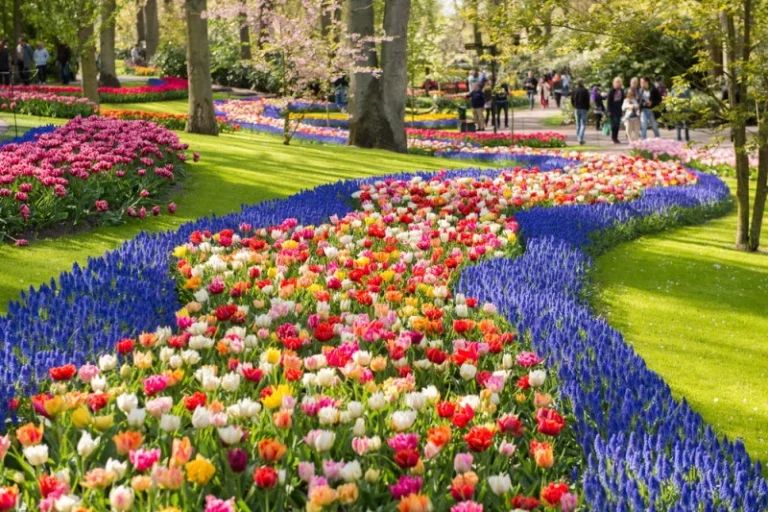 Keukenhof en de tulpenbloei
